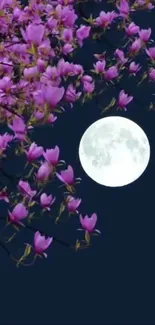 Pink blossoms beneath a full moon in the night sky wallpaper.