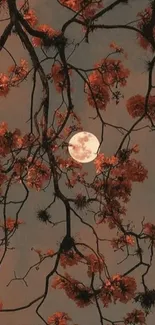 Moonlit tree blossoms against dark sky wallpaper.