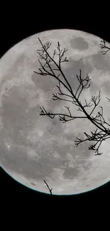 Full moon with silhouetted branches against a black sky.