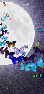 Colorful butterflies fly across a full moonlit starry sky.