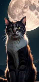 A cat sits under a glowing full moon in a serene night landscape.