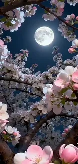 Cherry blossoms under a full moon night.