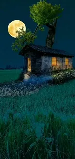 Moonlit cottage in a lush green field with a glowing full moon.