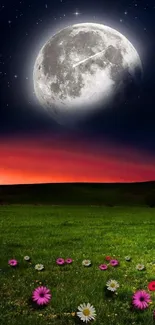 Moonlit field with daisies under a starry sky background.