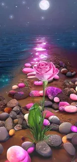 Moonlit beach path with vibrant rose and colorful stones.