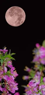 Pink cherry blossoms under a full moon against a black night sky.