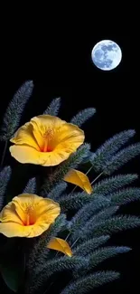 Vibrant yellow flowers with a full moon on a black background.