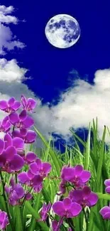 Purple flowers under a moonlit blue sky with clouds and green grass.