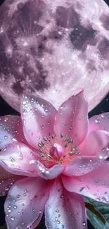 Pink flower with dew under a full moon in a starry night sky.