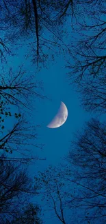 Crescent moon in a tranquil night sky with silhouetted trees in the foreground.