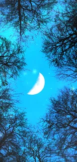 Moonlit night sky with forest silhouettes and a crescent moon.