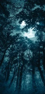 Moonlit forest with tall trees under a glowing night sky.