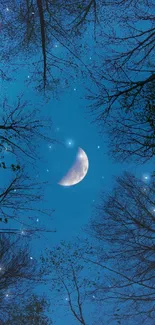 Crescent moon shining through tree branches against a dark blue night sky.