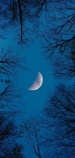 Moonlit night sky with trees framing a crescent moon.