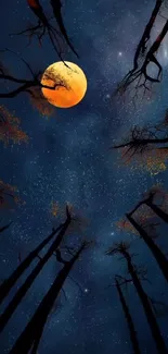 Moonlit forest with full moon and silhouetted trees against starry sky.