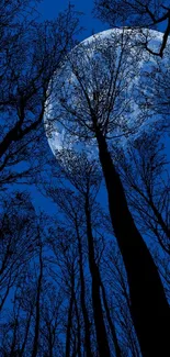 Moonlit forest with silhouetted trees under a dark blue night sky.