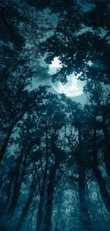 Moonlit forest with silhouettes of trees and glowing night sky.