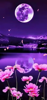 Serene purple night wallpaper with moon and flowers.