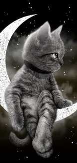 Cute kitten sits on a sparkling moon with a starry black background.