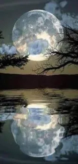 Moonlit lake with full moon reflection and trees.