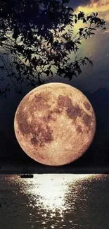 Moonlit lake with full moon reflecting on water.