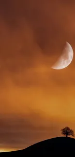 Crescent moon over a lone tree on a hill with glowing orange sky.