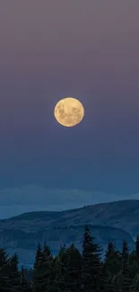 A full moon over a mountain with trees at night.