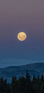 Full moon rising over dark mountains and trees at night.