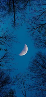 Crescent moon in a dark blue sky, framed by tree silhouettes.