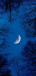 Crescent moon over silhouetted trees on a deep blue night sky.