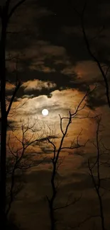 Moonlit forest with silhouetted trees at night.