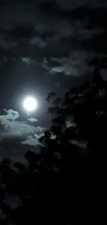 Moonlit night with trees and clouds in dark blue sky.