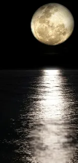 Moonlit ocean with moon reflection at night.