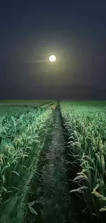 Moonlit night over a lush green field with glowing full moon.