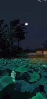 Moonlit night over a lush green lotus pond with a glowing moon.