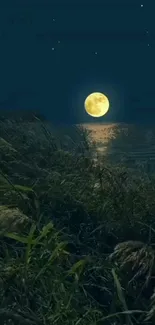 Serene moonlit night over lake with starry sky.