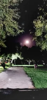 Moonlit pathway with trees at night.