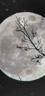 Full moon and branches night wallpaper with a dark sky.