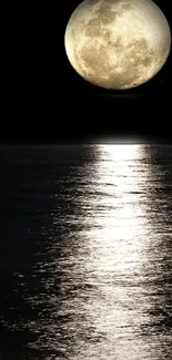 Full moon reflecting on a calm ocean at night, creating a serene view.