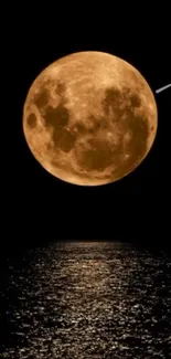 Full moon reflecting on calm waters at night.