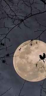 Silhouetted birds on branches with full moon background.