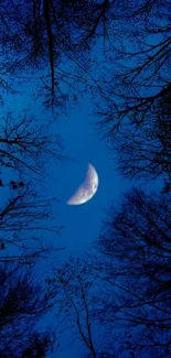 Moonlit night sky with trees silhouetted against blue.