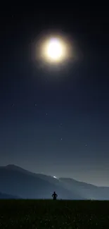 Moonlit scenery with a silhouette under a starry sky.