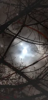 Moonlit night sky with branches and full moon in the center.