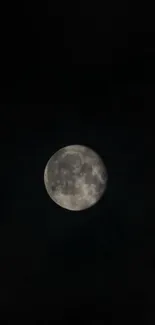 Moonlit night sky with the full moon centered against a dark background.