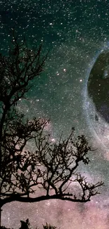 Beautiful moonlit night sky with stars and tree silhouette.