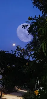 Moonlit night sky with vibrant foliage.