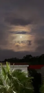 Moonlit cloudy night sky over green plants.