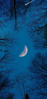 Moonlit sky with trees silhouetted against a deep blue night.