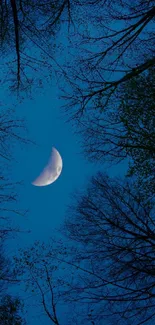 Crescent moon in a starry night sky surrounded by tree silhouettes.